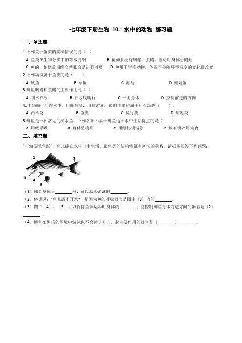 10.1水中的动物 练习题