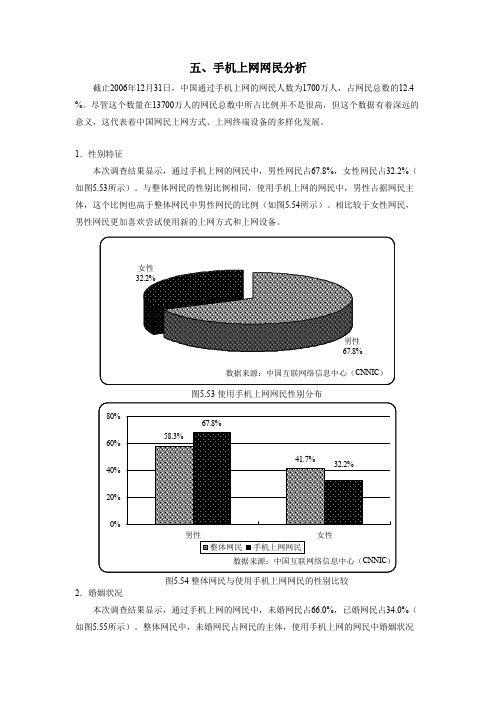 2007中国互联网络发展状况统计报告二