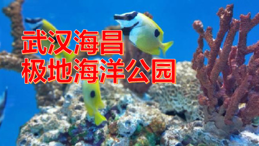 海昌极地海洋公园,探秘海底神秘世界的最佳去处!