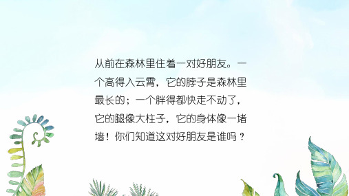 《高个子和大胖子》基于标准的教学课件