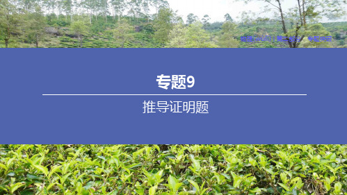 中考物理复习方案 专题09 推导证明题课件