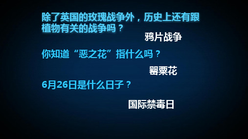 人教版高中历史必修一鸦片战争优质课件(共41张PPT)