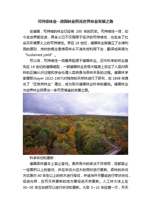 可持续林业--德国林业照亮世界林业发展之路