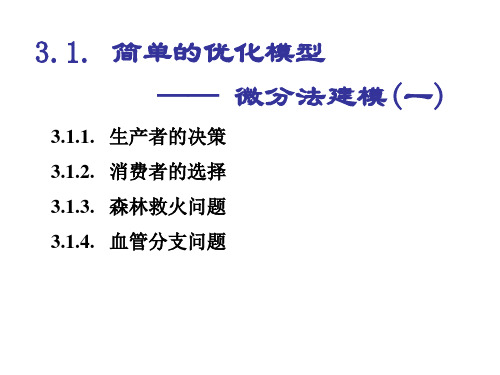 简单的优化模型一