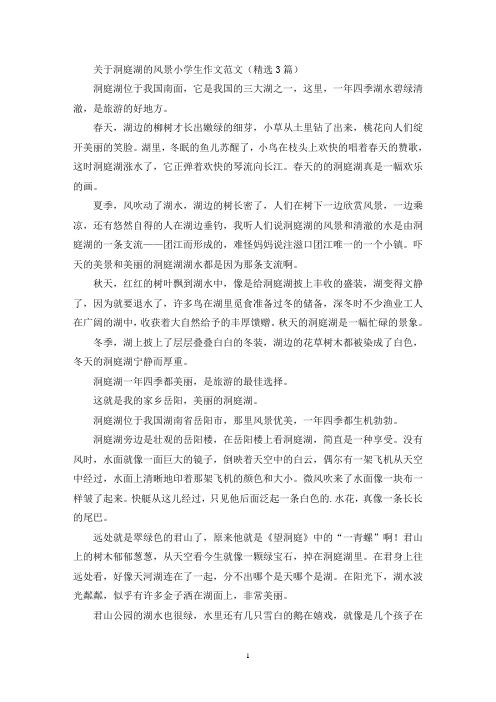 关于洞庭湖的风景小学生作文范文(精选3篇最新)