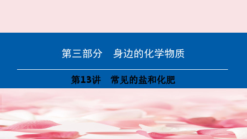 中考化学总复习第3部分身边的化学物质课件(8份)(4)