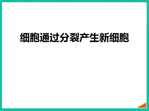 七年级生物上册人教版细胞通过分裂产生新细胞课件