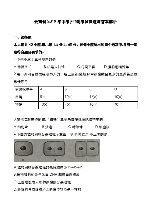 云南省2019年中考[生物]考试真题与答案解析