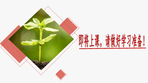 植株的生长(教学课件)七年级生物上册(人教版)