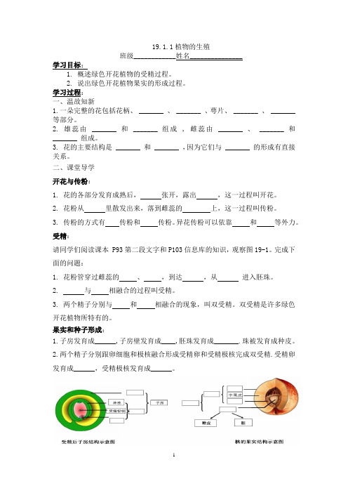 苏科版生物八年级19章第一节第一课时内容导学