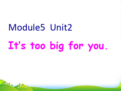 外研版五年级英语下册Module5Unit2It’stoobigforyou教学课件