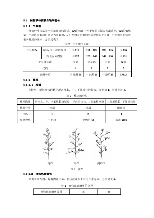 棉花农艺性状调查标准