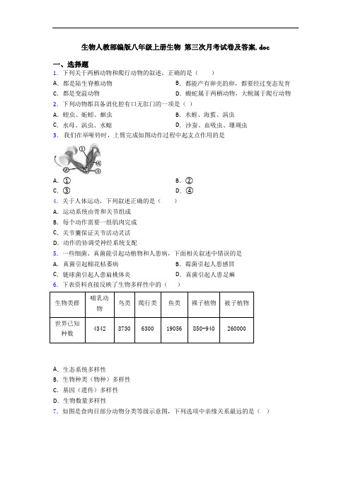 生物人教部编版八年级上册生物 第三次月考试卷及答案