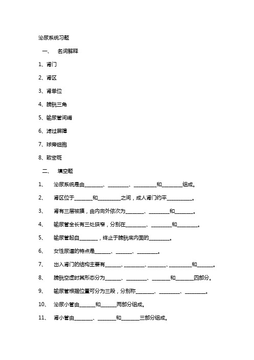 泌尿系统 习题