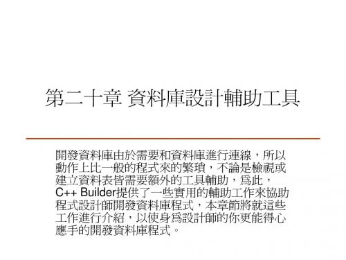 C++Builder入门20