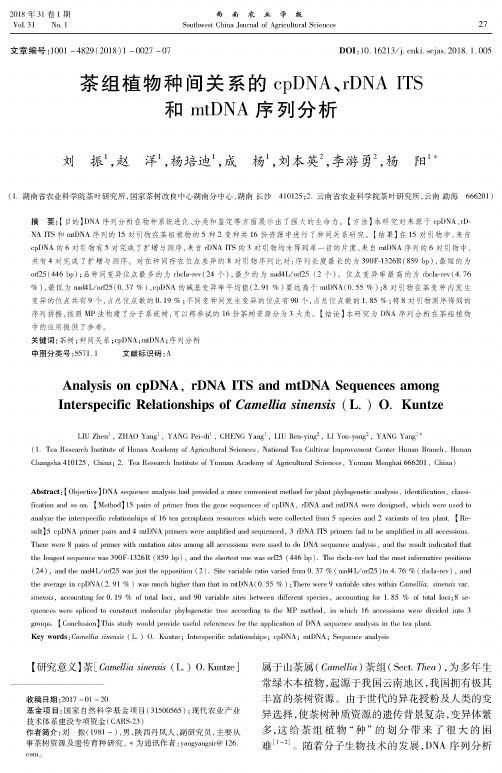 茶组植物种间关系的cpDNA、rDNA ITS和mtDNA序列分析