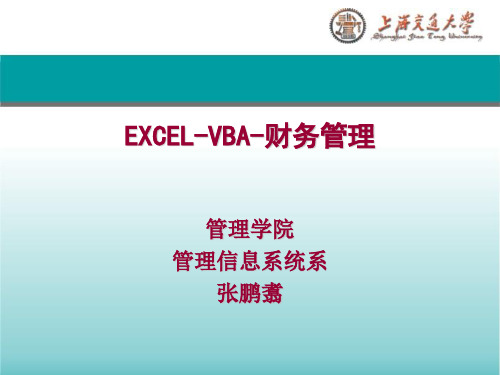 EXCEL-VBA2013