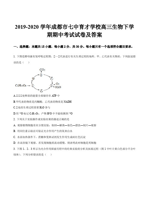 2019-2020学年成都市七中育才学校高三生物下学期期中考试试卷及答案