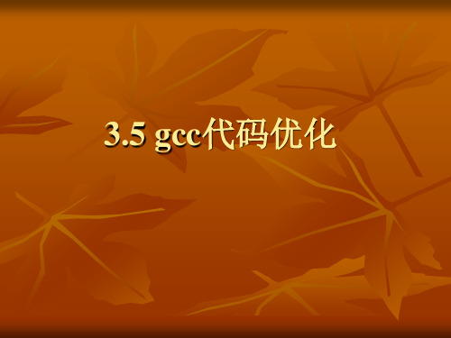 3.5 gcc代码优化