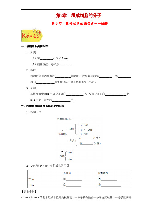 专题2-3 遗传信息的携带者-核酸-试题君之K三关2017-2018学年高一生物 含解析 精品