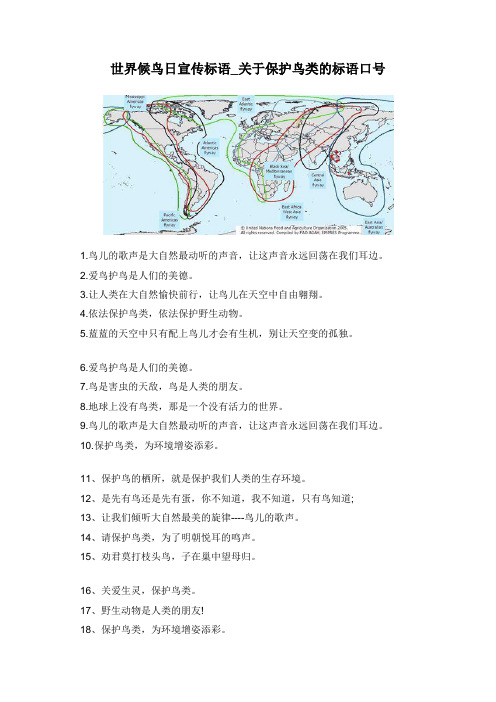 世界候鸟日宣传标语_关于保护鸟类的标语口号