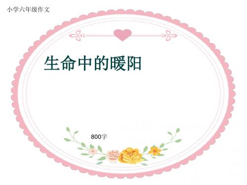 小学六年级作文《生命中的暖阳》800字(共12页PPT)
