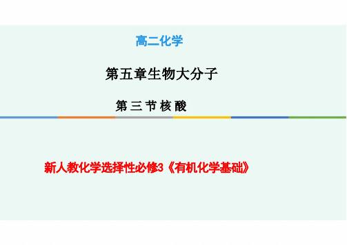 4.3核酸(教学课件)高中化学人教版选修三