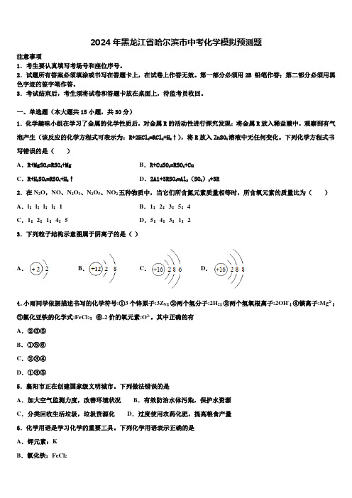 2024年黑龙江省哈尔滨市中考化学模拟预测题含解析