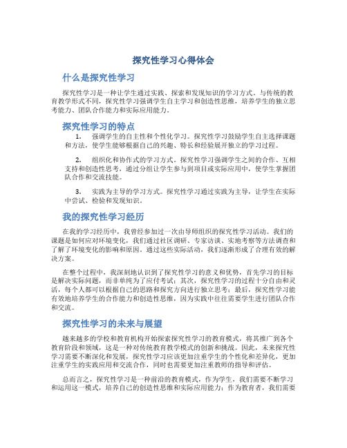 探究性学习心得体会