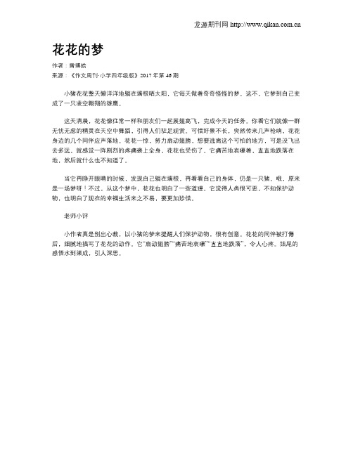 花花的梦