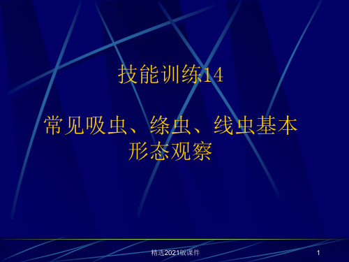 常见吸虫、绦虫、线虫基本形态观察ppt课件