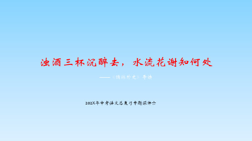 中考语文一轮专题复习：《儒林外史》课件