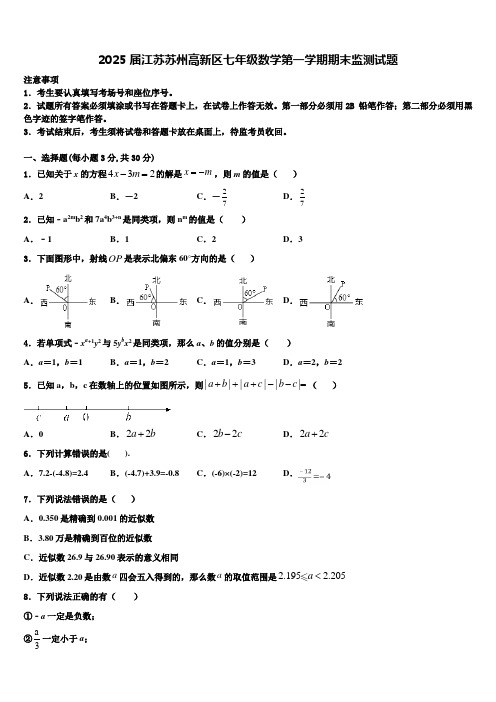 2025届江苏苏州高新区七年级数学第一学期期末监测试题含解析