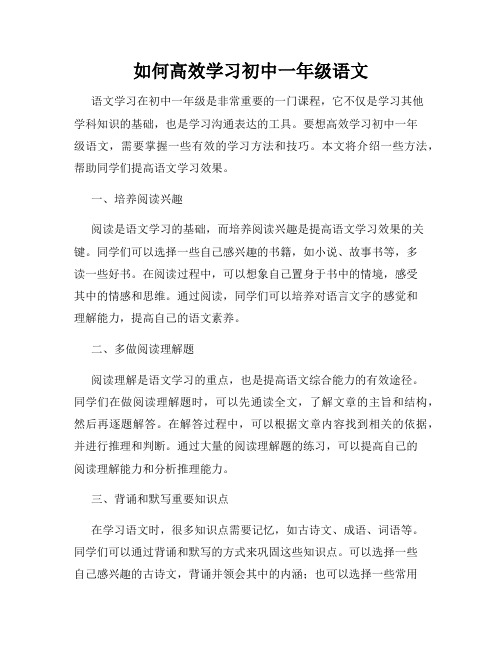 如何高效学习初中一年级语文