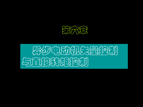 第六章 异步电动机矢量控制与直接转矩控制