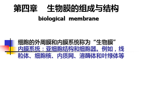 第四章_生物膜的组成与结构