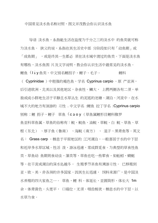 中国常见淡水鱼名称对照,图文并茂教会你认识淡水鱼