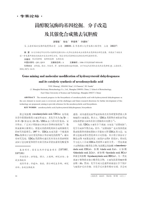 甾醇脱氢酶的基因挖掘、分子改造及其催化合成熊去氧胆酸