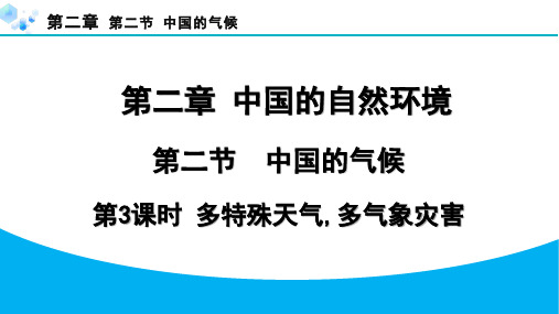 2.2.3 多特殊天气,多气象灾害【习题课件】八年级地理湘教版