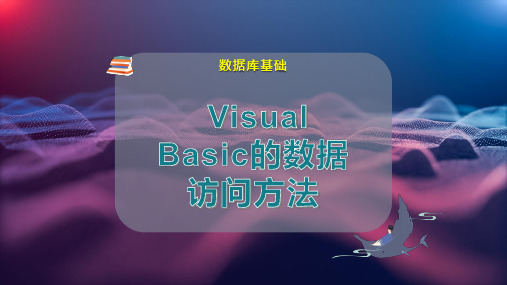 Visual Basic的数据访问方法