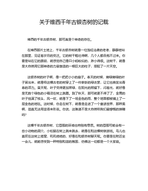 关于维西千年古银杏树的记载