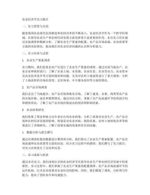 农业经济学实习报告