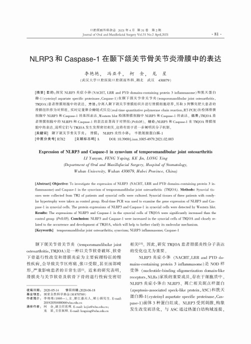 NLRP3和Caspase-1在颞下颌关节骨关节炎滑膜中的表达