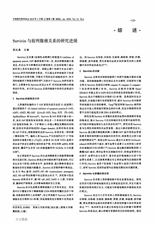 Survivin与前列腺癌关系的研究进展