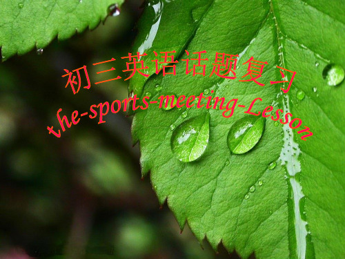 初三英语话题复习the-sports-meeting-Lesson