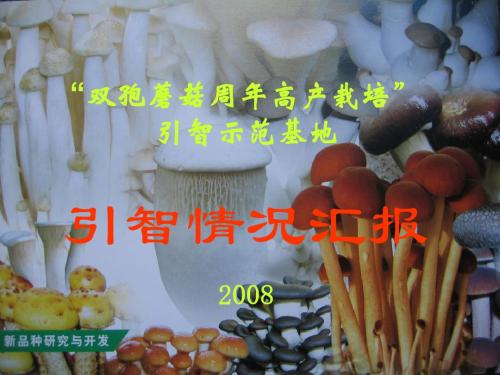 “双孢蘑菇周年高产栽培” 引智示范基地 - 国家外国专家局