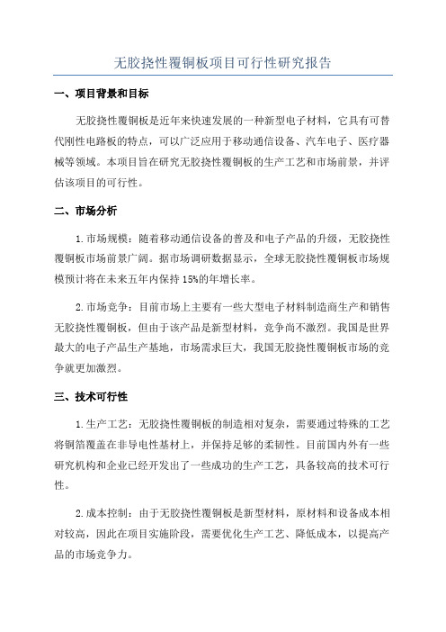 无胶挠性覆铜板项目可行性研究报告