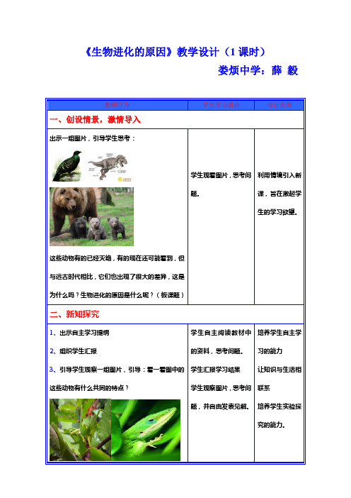 《生物进化的原因》教学设计