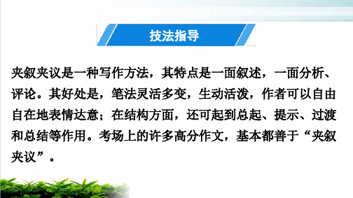 作文技法指导(十) 夹叙夹议 讲练课件—部编版九年级语文下册