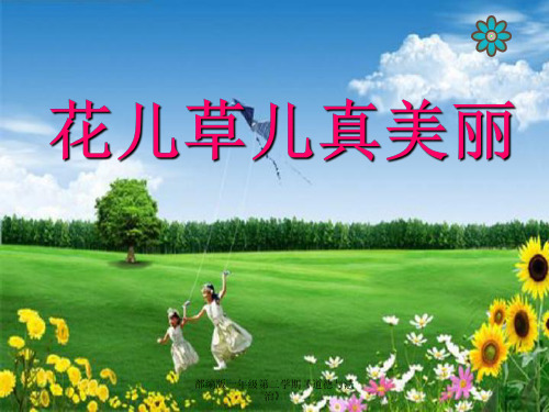 部编版一年级下册道德与法治-花儿草儿真美丽课件PPT